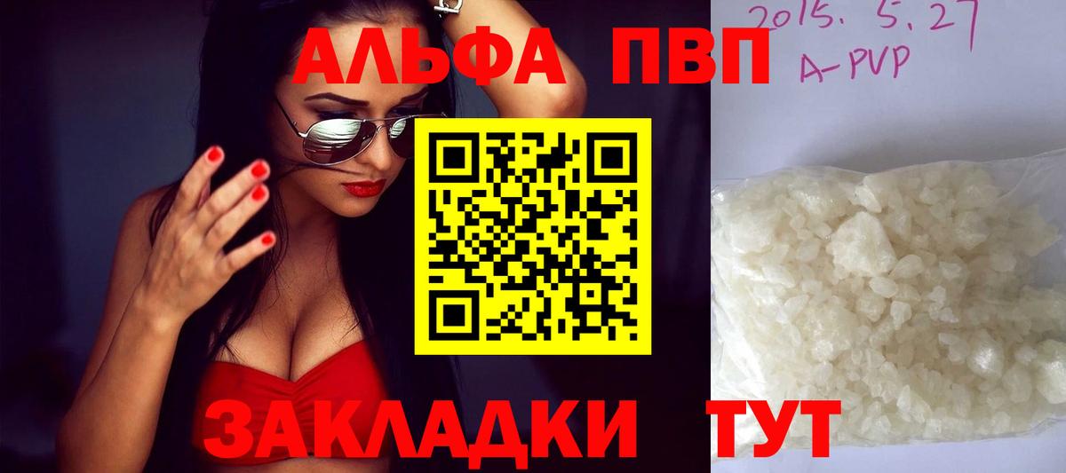 Альфа ПВП СК КРИС Котлас