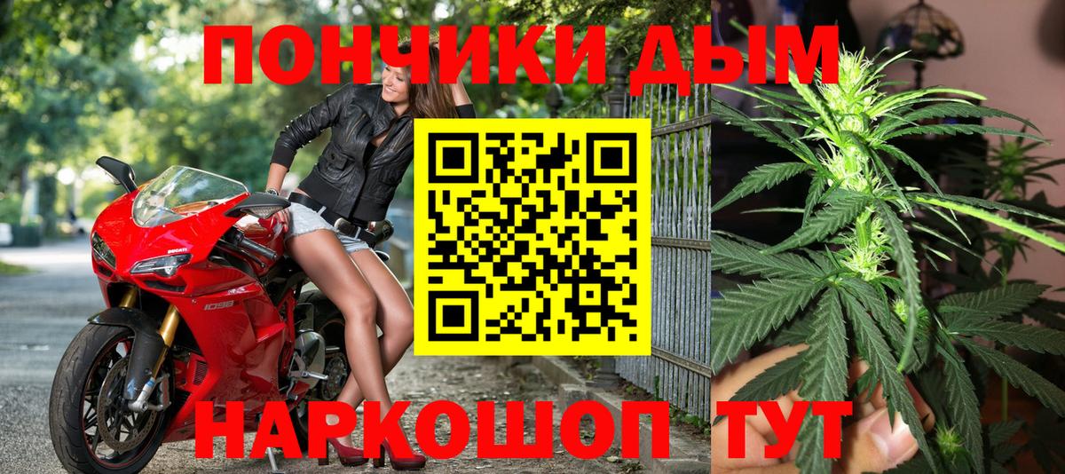 Котлас  Бошки Шишки White Widow  Вход с VPN  Бошки марихуана марихуана  Шишки марихуана White Widow 